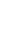 Logo – fevis
