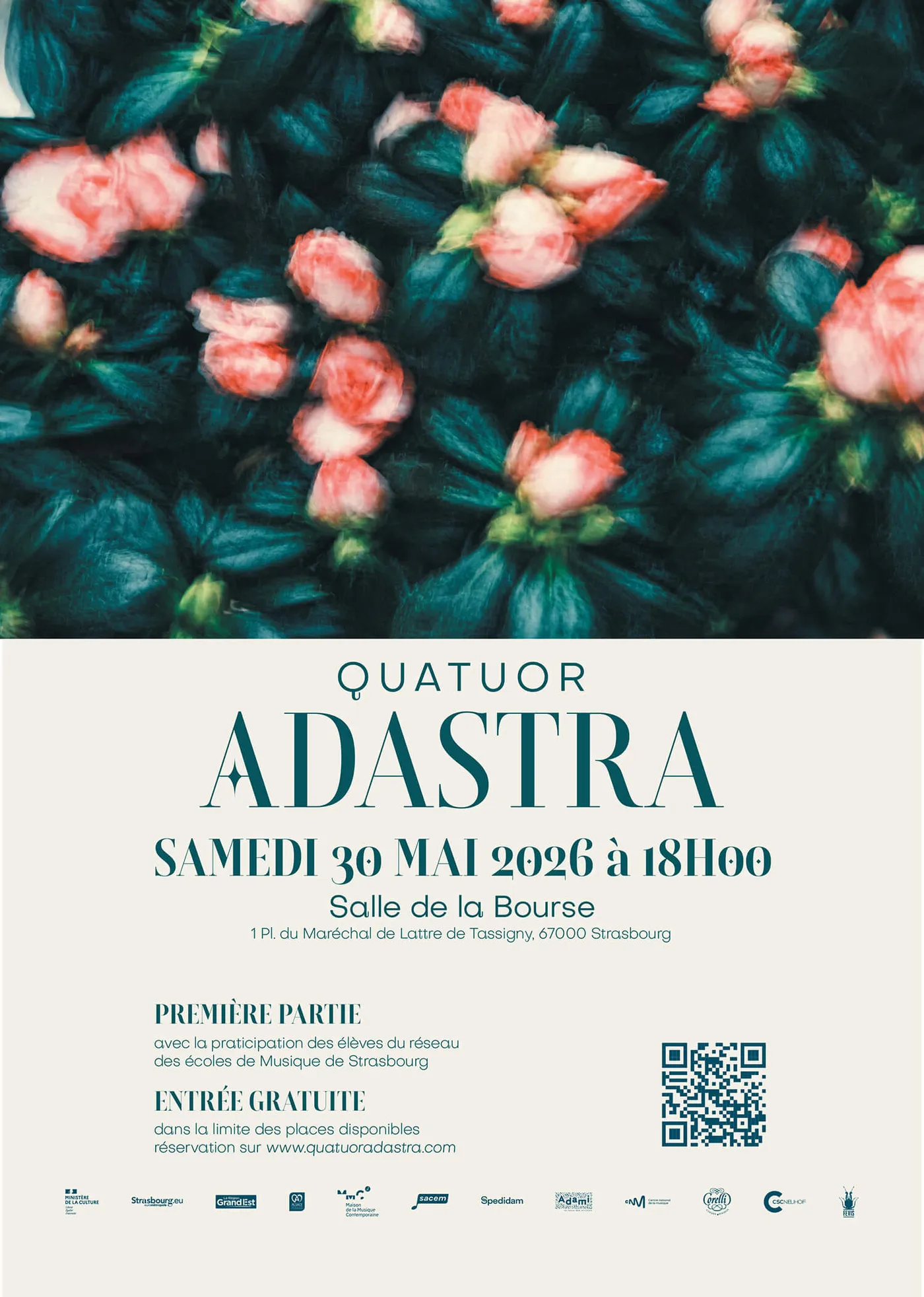 Affiche du concert