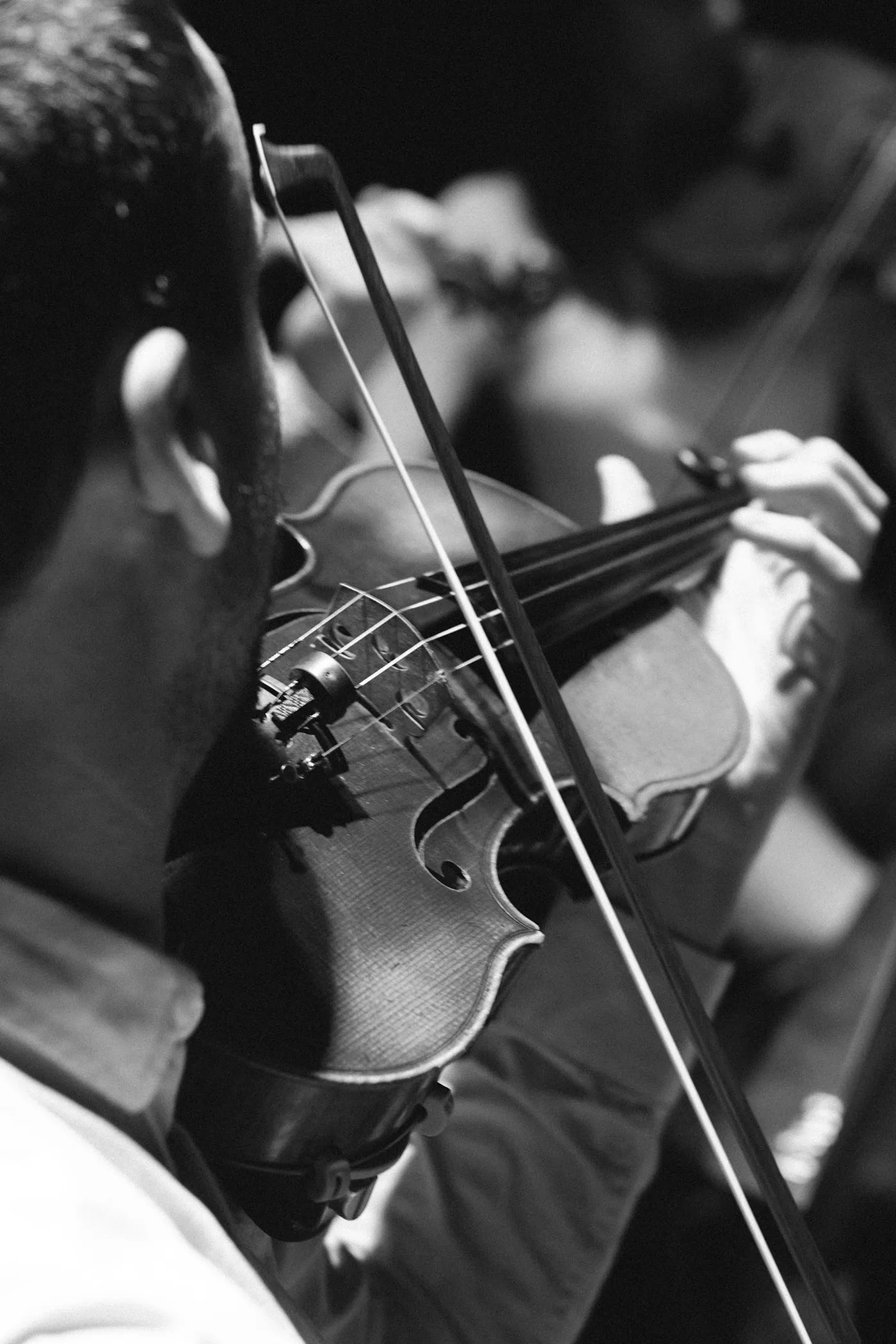 Photo du Quatuor Adastra