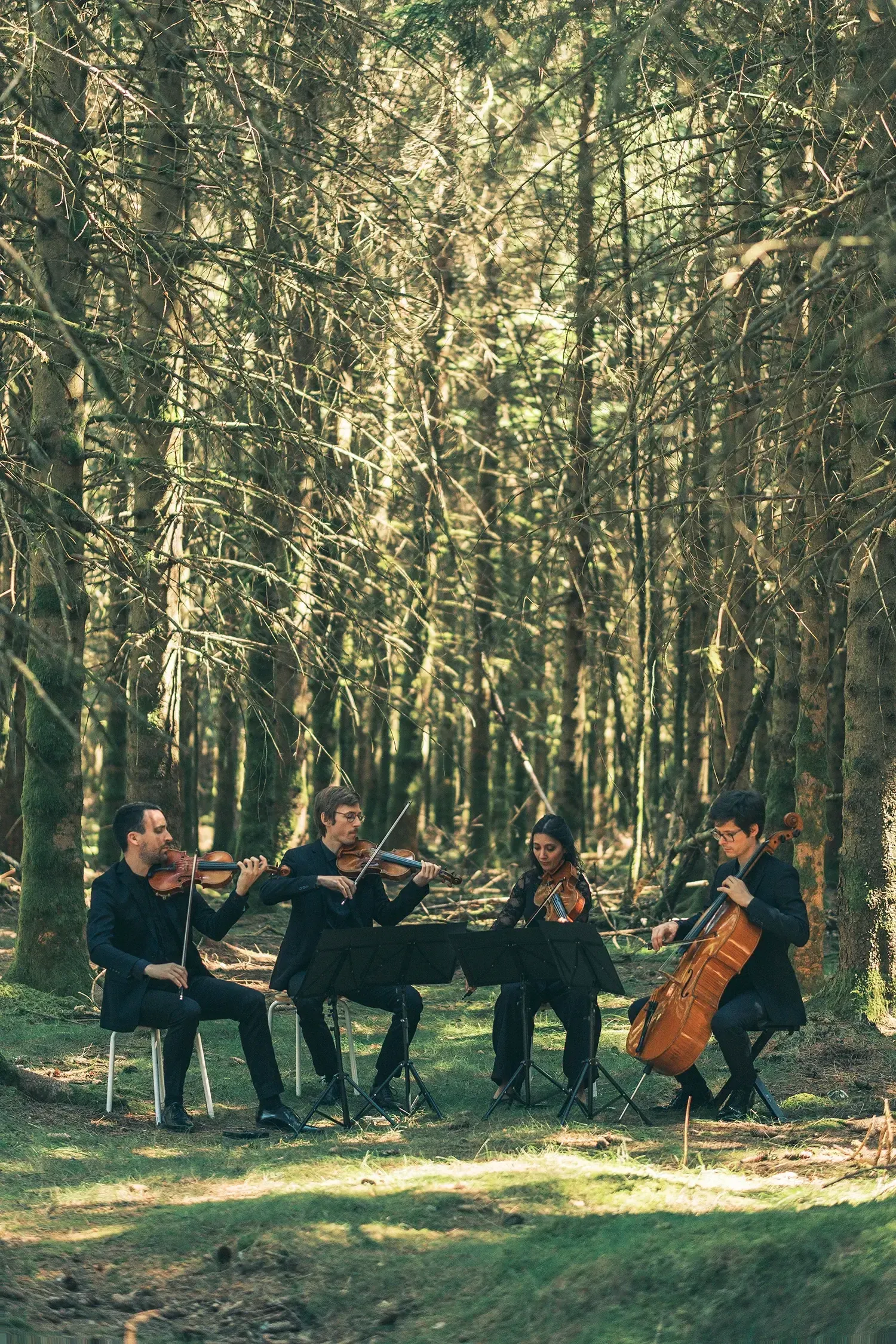 Photo du Quatuor Adastra