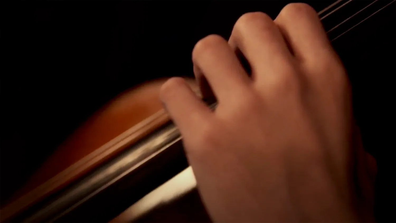 Vignette de la vidéo