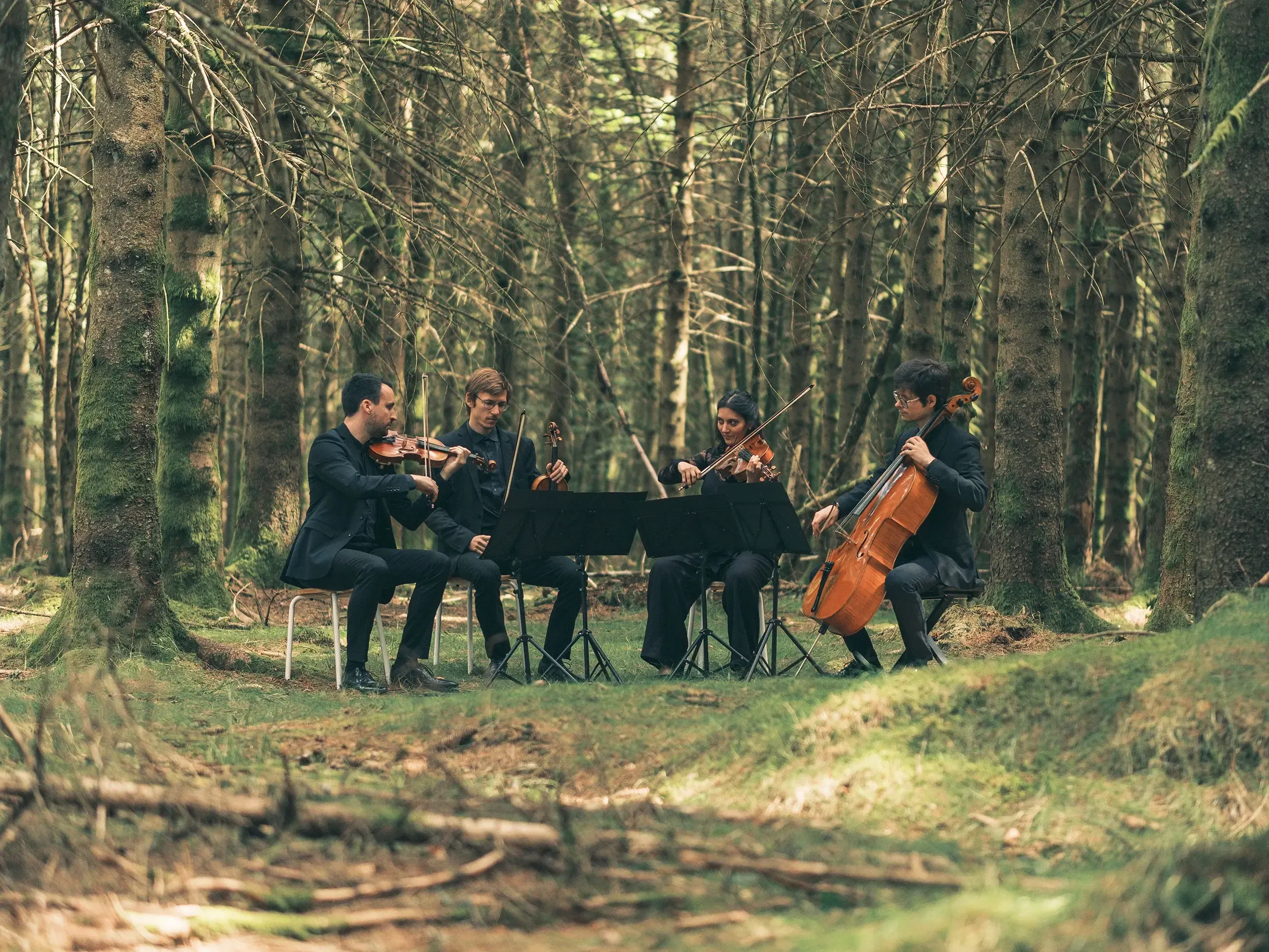 Photo du Quatuor Adastra